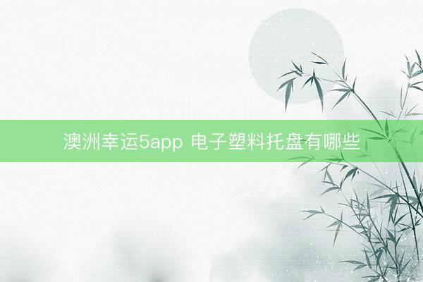 澳洲幸运5app 电子塑料托盘有哪些