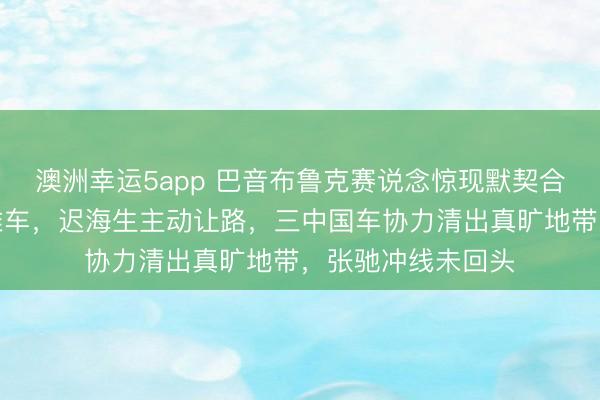 澳洲幸运5app 巴音布鲁克赛说念惊现默契合营！林臻东尾流推车，迟海生主动让路，三中国车协力清出真旷地带，张驰冲线未回头